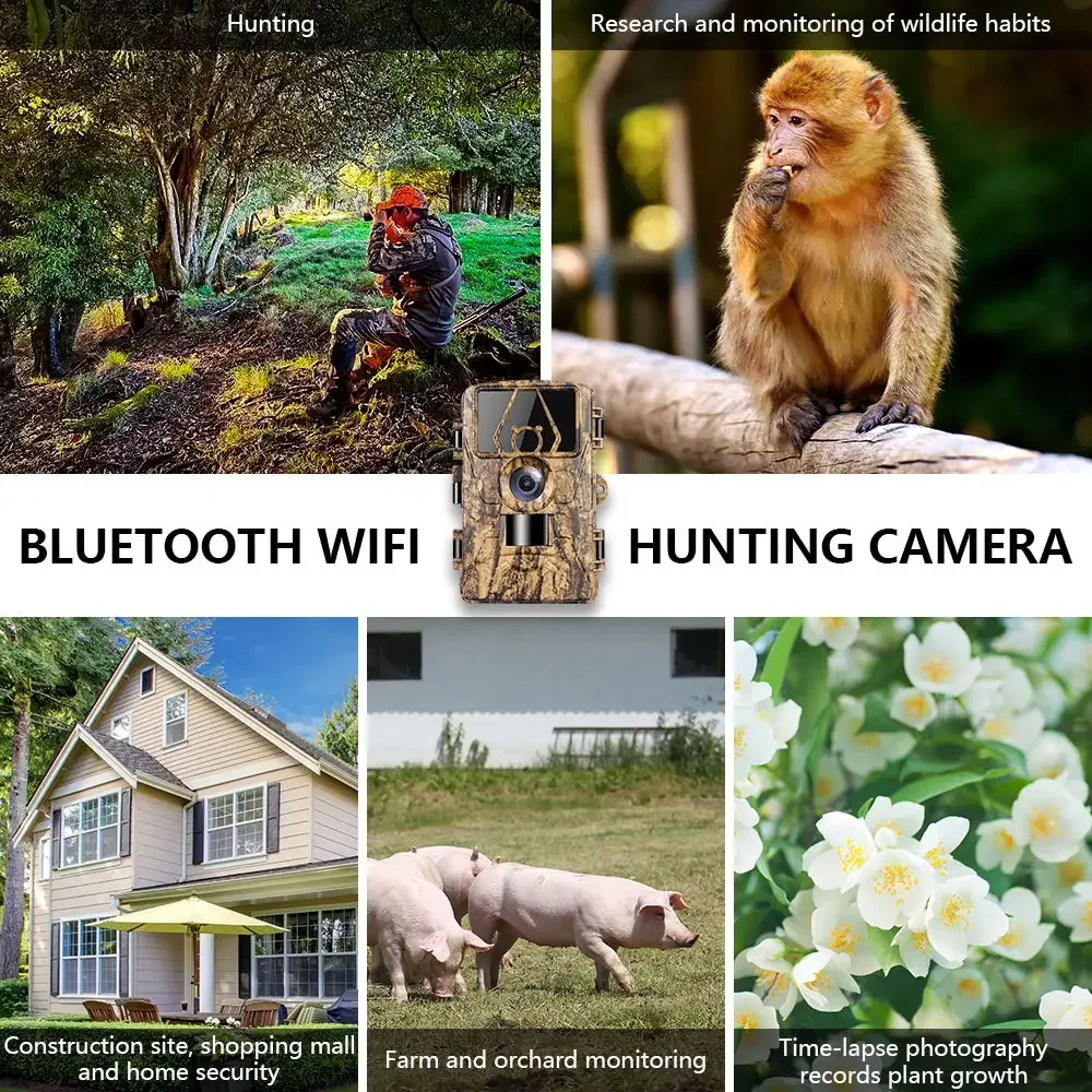 Cámara de Caza 8K WiFi PR801W  - Outdoor Hunting Camera Wifi reseña y precio