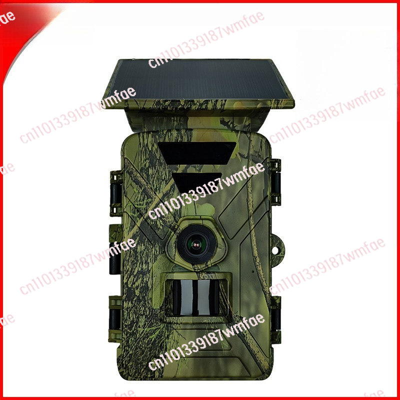 Cámara de Caza de Animales Sal - Outdoor Hunting Camera Wifi reseña y precio